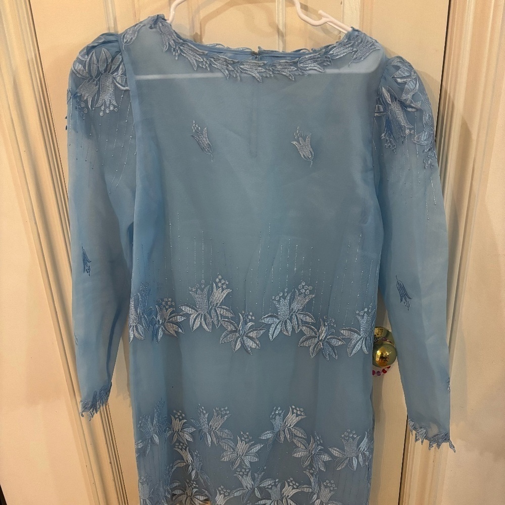 vintage 80s seethru dress with embroidery rare and pretty